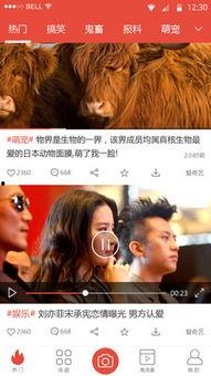 真实爆料怎么拍视频的呢  第2张